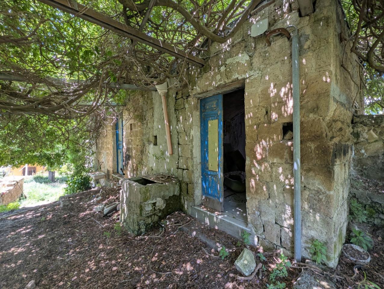 immagine annuncio 3 di 14