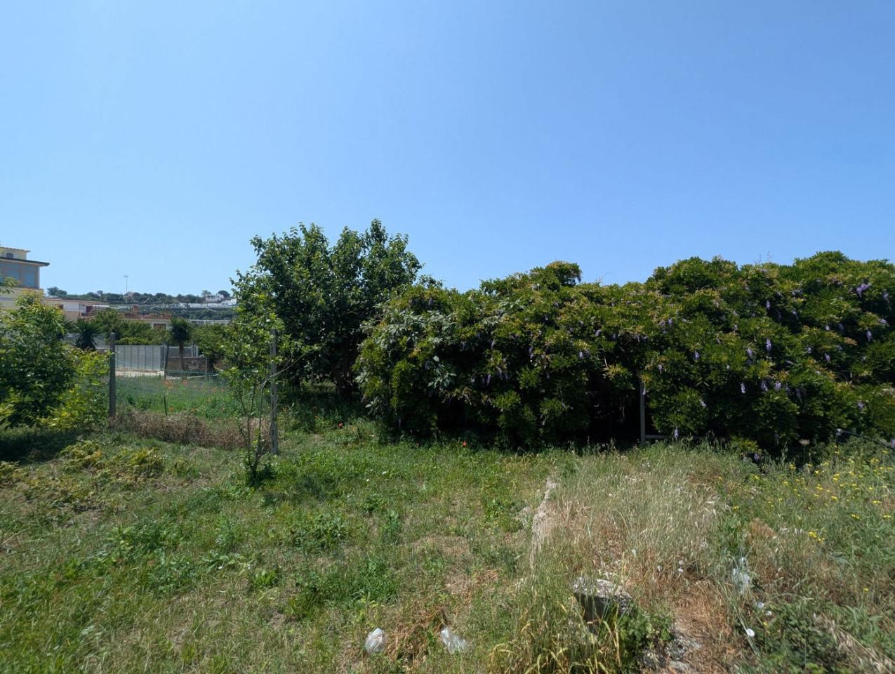 immagine annuncio 11 di 14