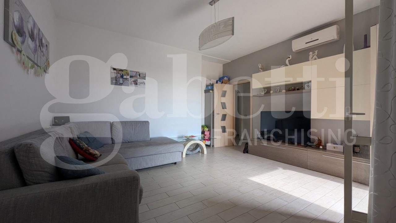 immagine annuncio 3 di 14