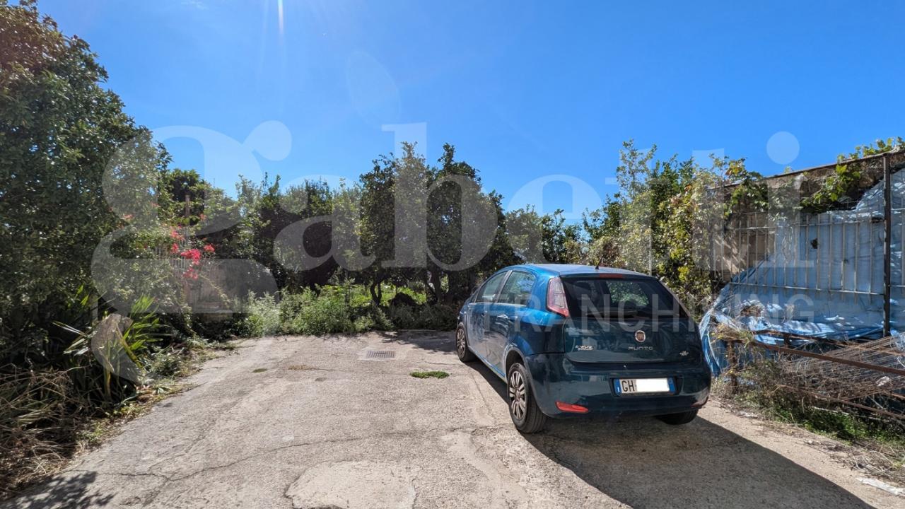 immagine annuncio 10 di 12