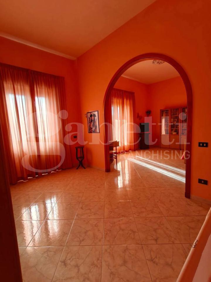 immagine annuncio 7 di 14