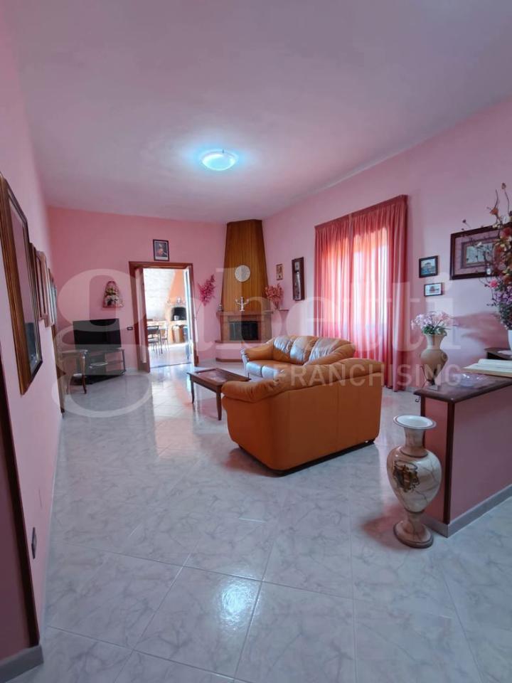 immagine annuncio 5 di 14