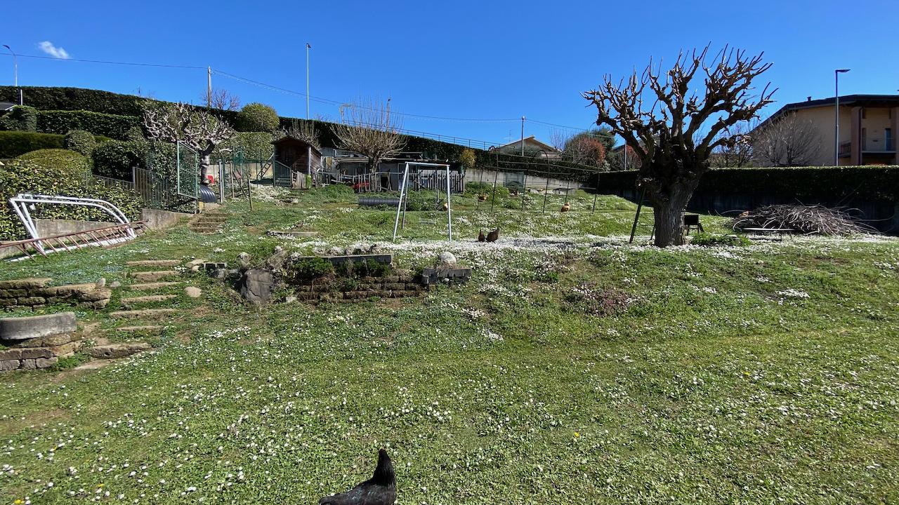 immagine annuncio 5 di 8