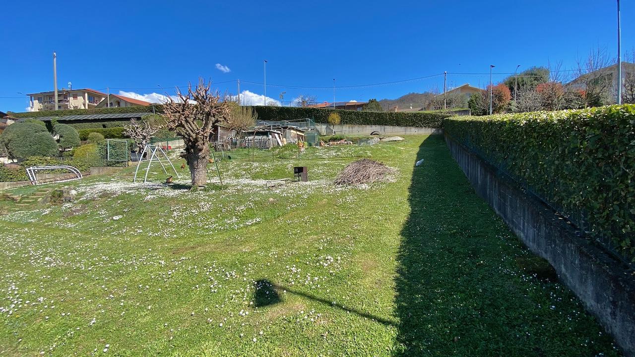 immagine annuncio 4 di 8