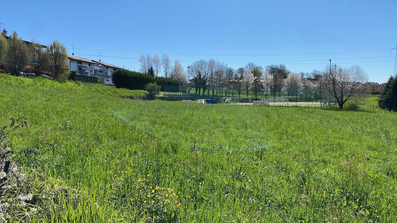 immagine annuncio 7 di 8