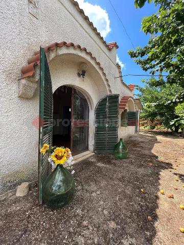 Einfamilienhaus in Contrada Pasano Snc, Sava - Foto 1