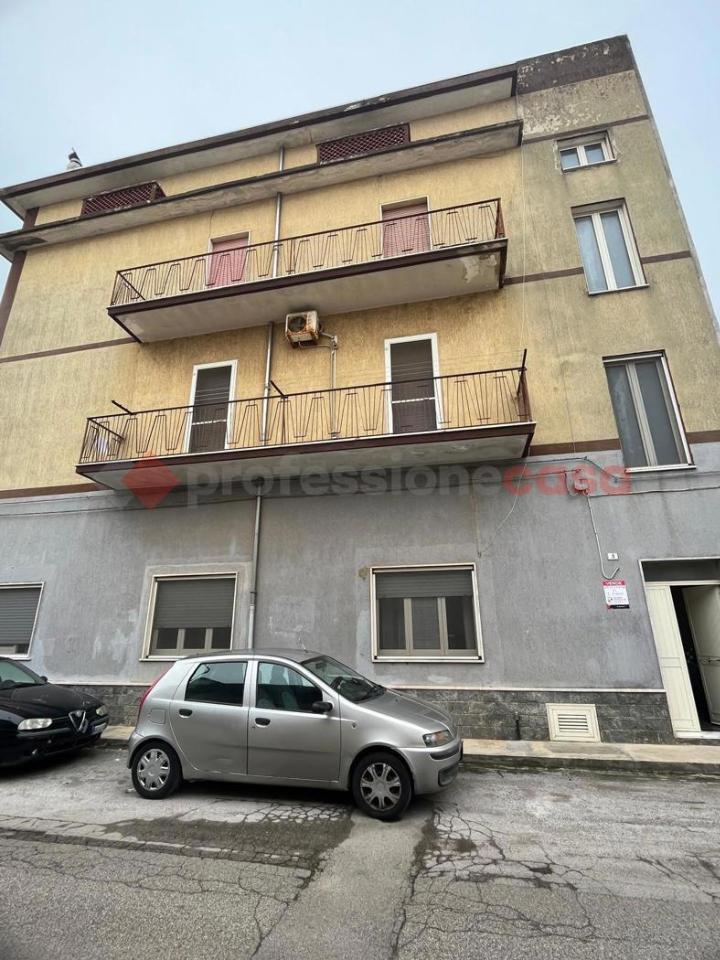 immagine annuncio 12 di 13