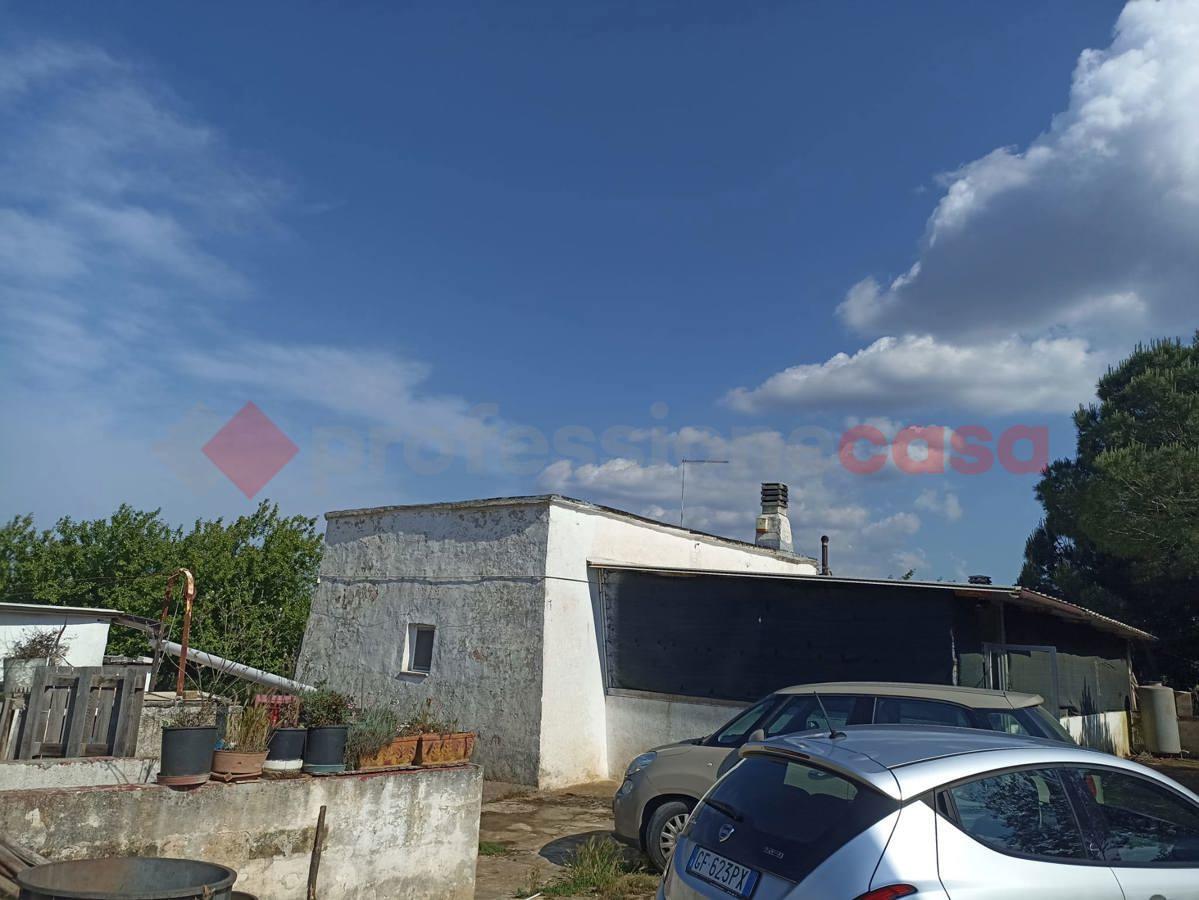 immagine annuncio 3 di 12