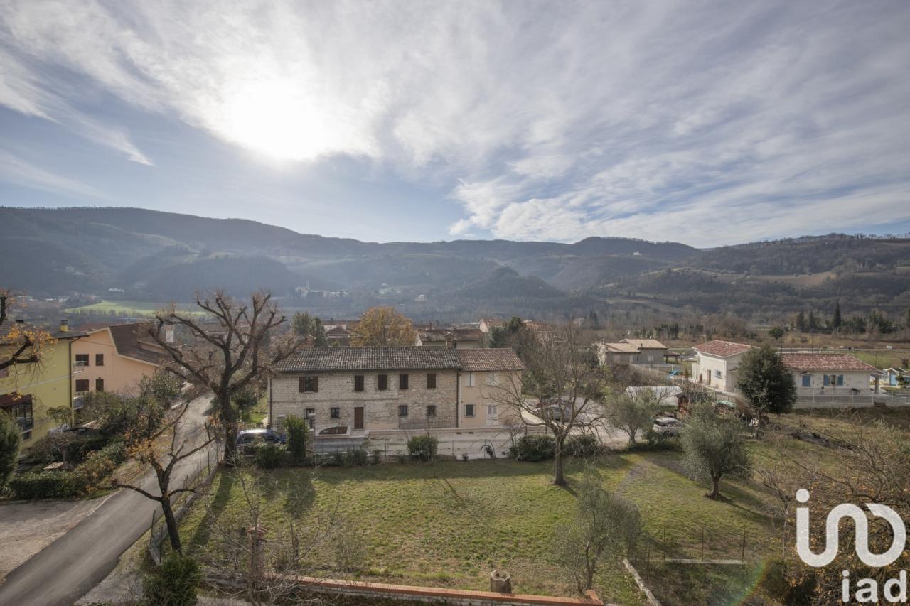 immagine annuncio 4 di 11
