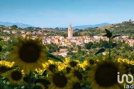 immagine annuncio 5 di 7