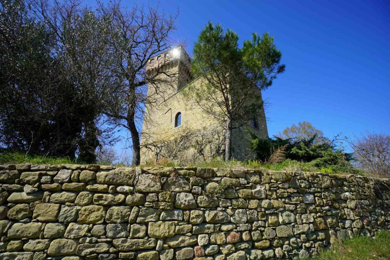immagine annuncio 10 di 14
