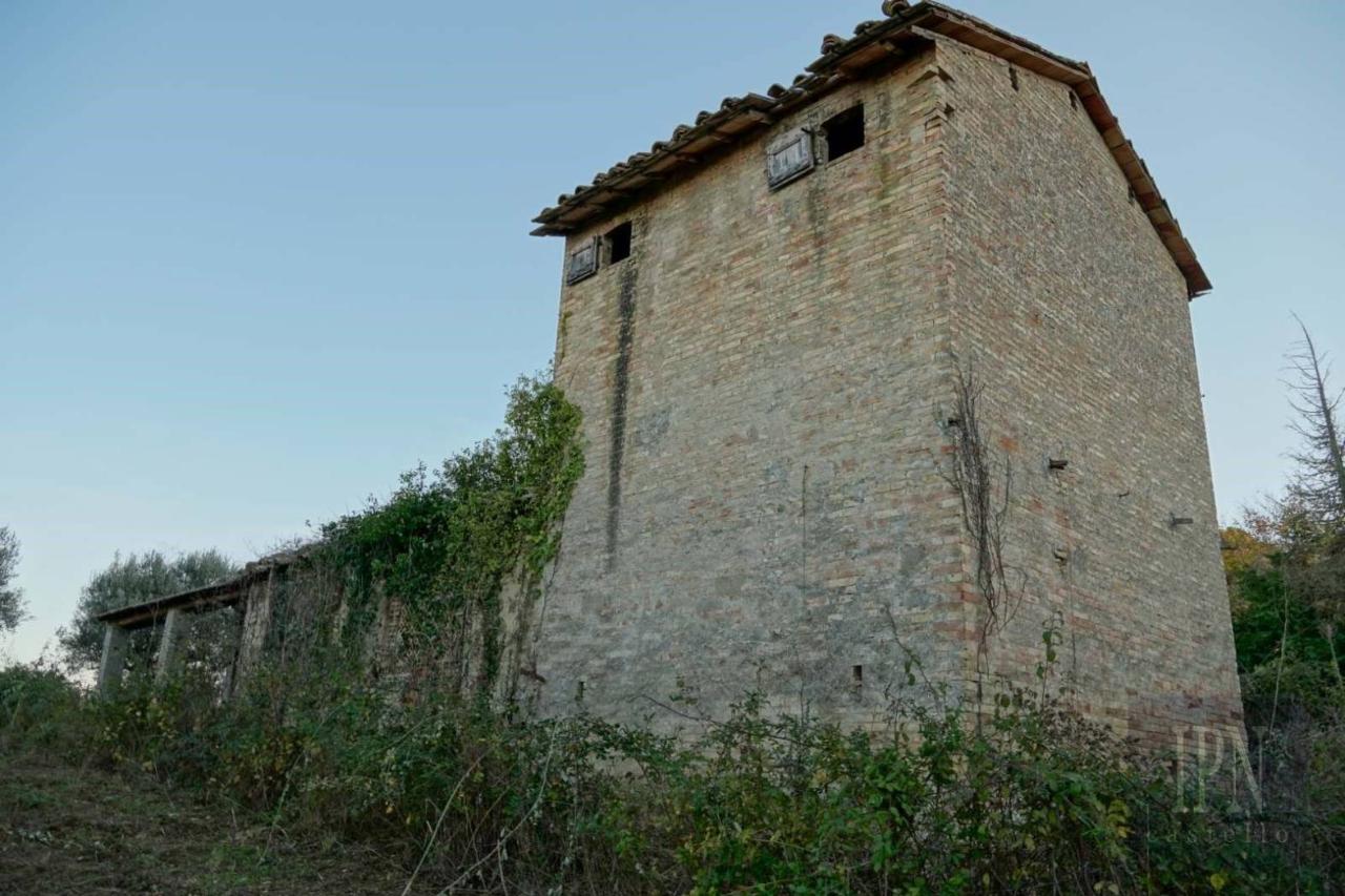 immagine annuncio 10 di 14