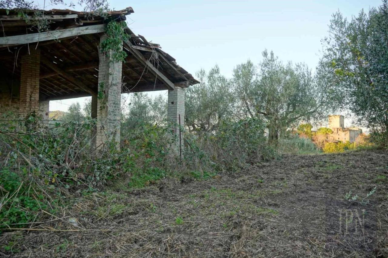 immagine annuncio 12 di 14