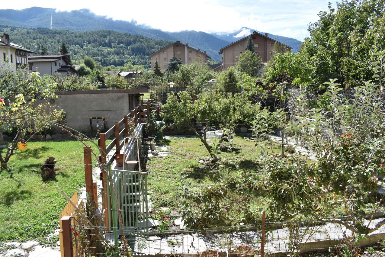 immagine annuncio 9 di 15