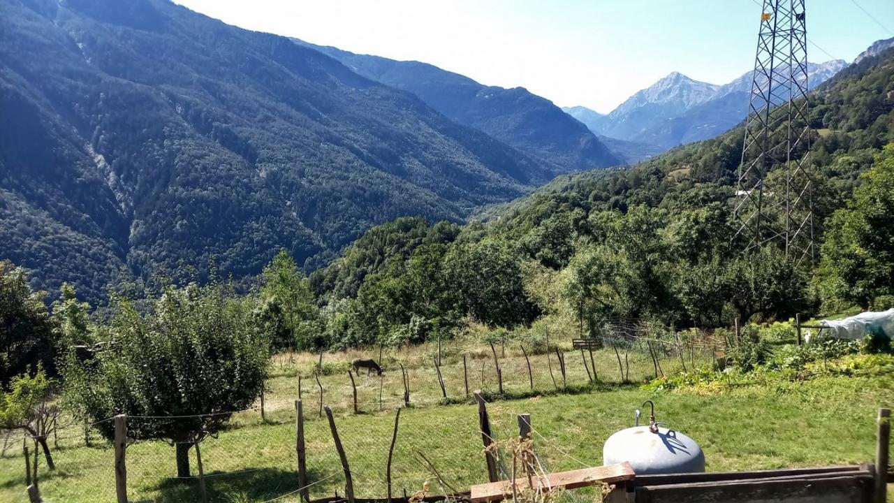 immagine annuncio 8 di 11