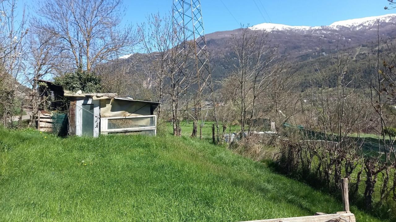 immagine annuncio 6 di 7