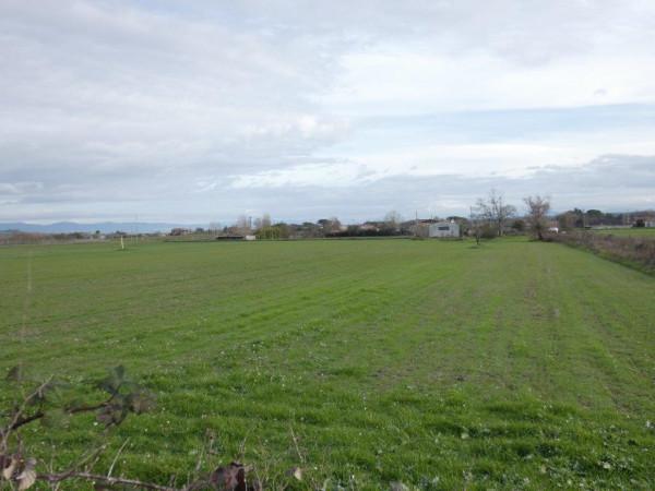 Terreno agricolo in vendita a Viterbo