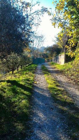 Terreno agricolo in Via Eugubina, Perugia - Foto 1