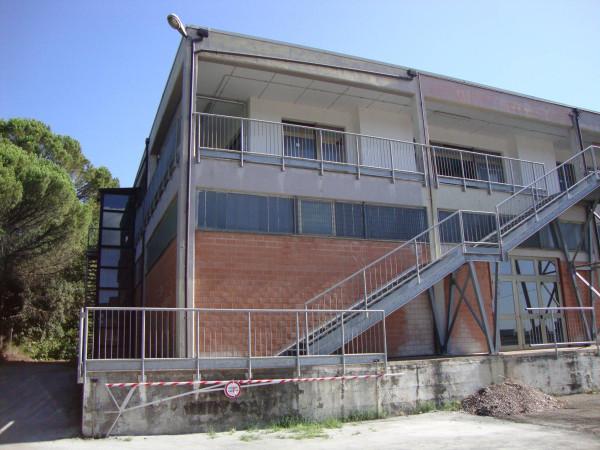 Capannone in Strada Provinciale di Marsciano, Marsciano, {3} - Foto 2