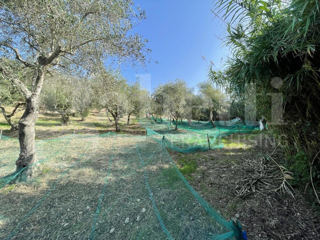 immagine annuncio 7 di 8