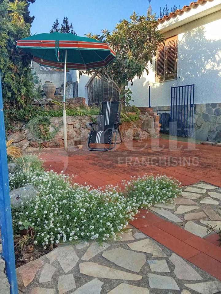 immagine annuncio 12 di 14