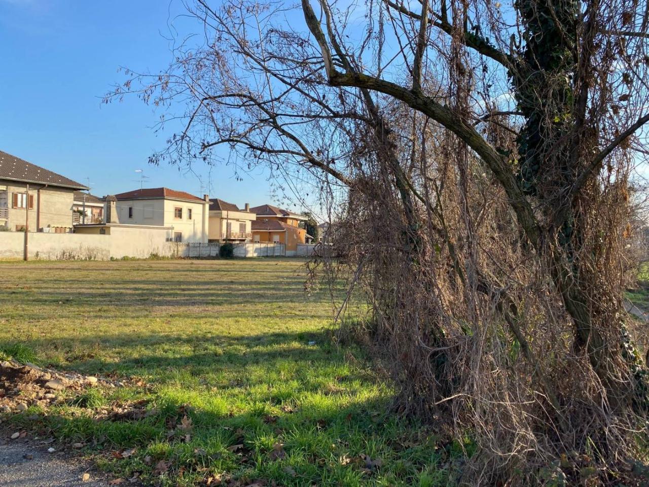 immagine annuncio 5 di 12