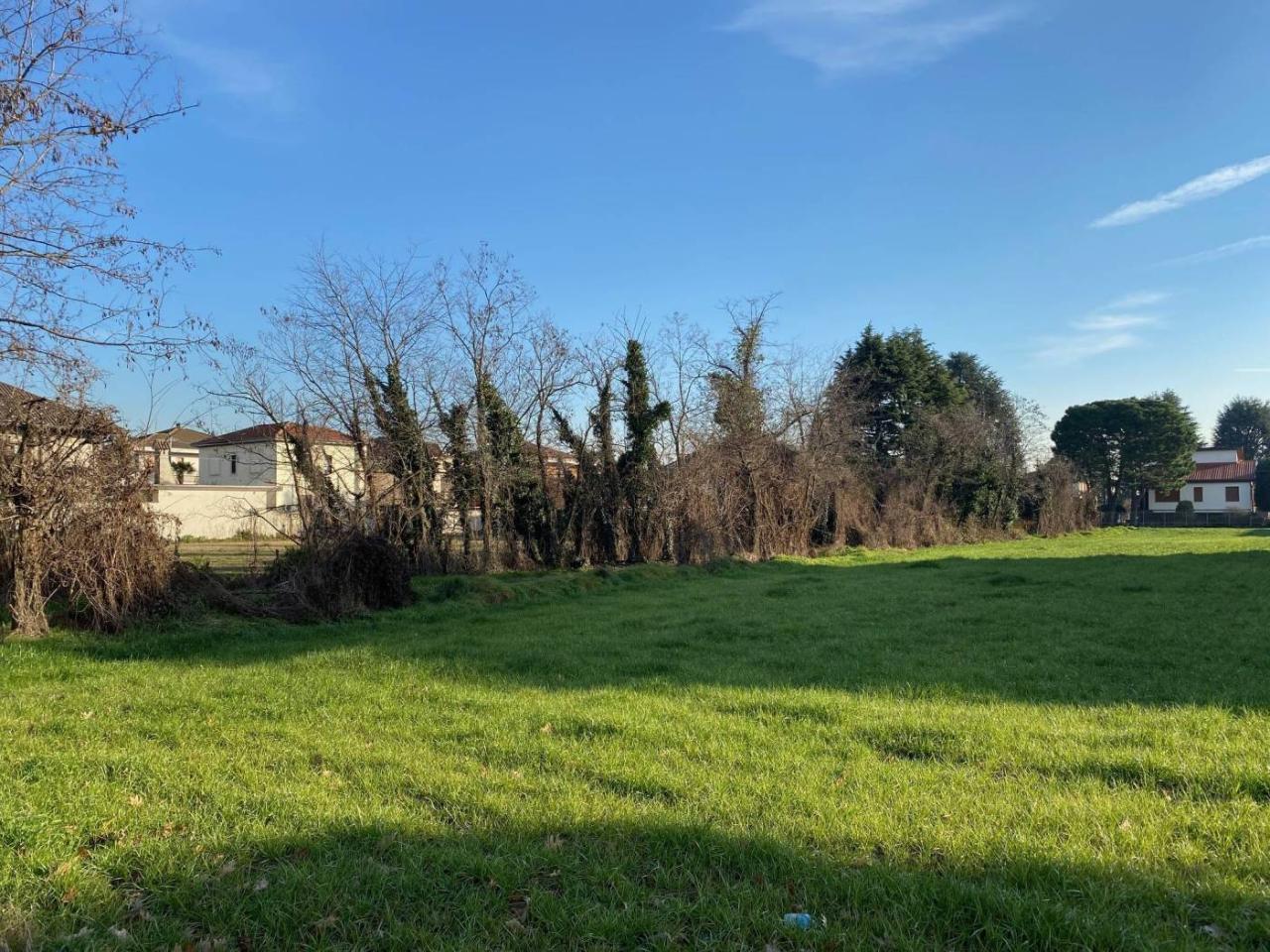 immagine annuncio 8 di 12