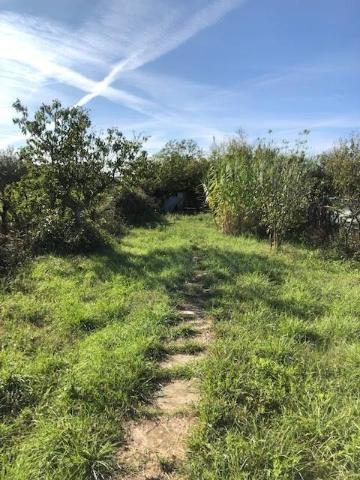 Agricultural land, Livorno - Photo 1