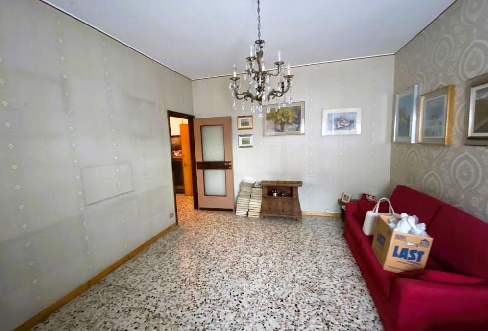immagine annuncio 6 di 14