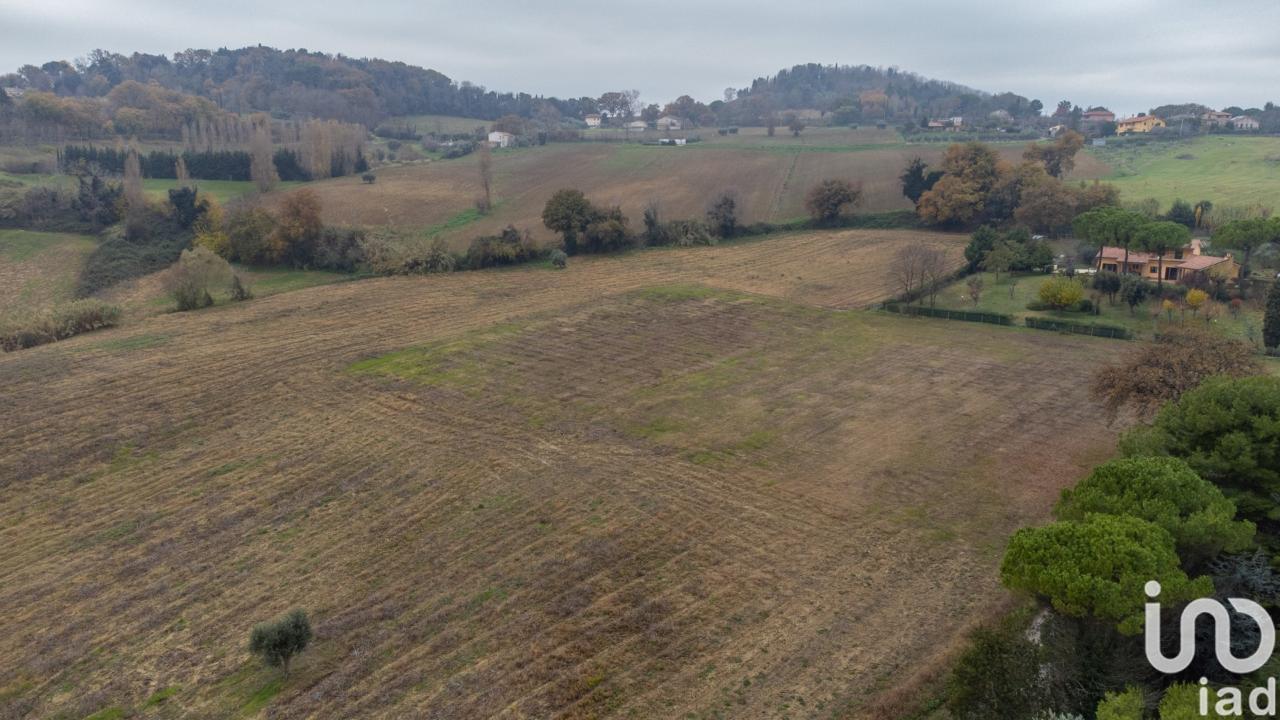 immagine annuncio 5 di 14