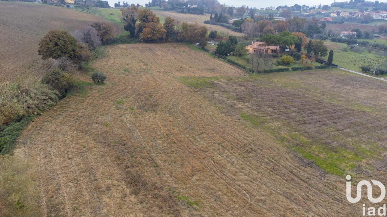 immagine annuncio 6 di 14