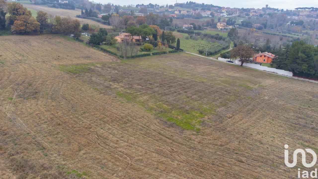 immagine annuncio 8 di 14