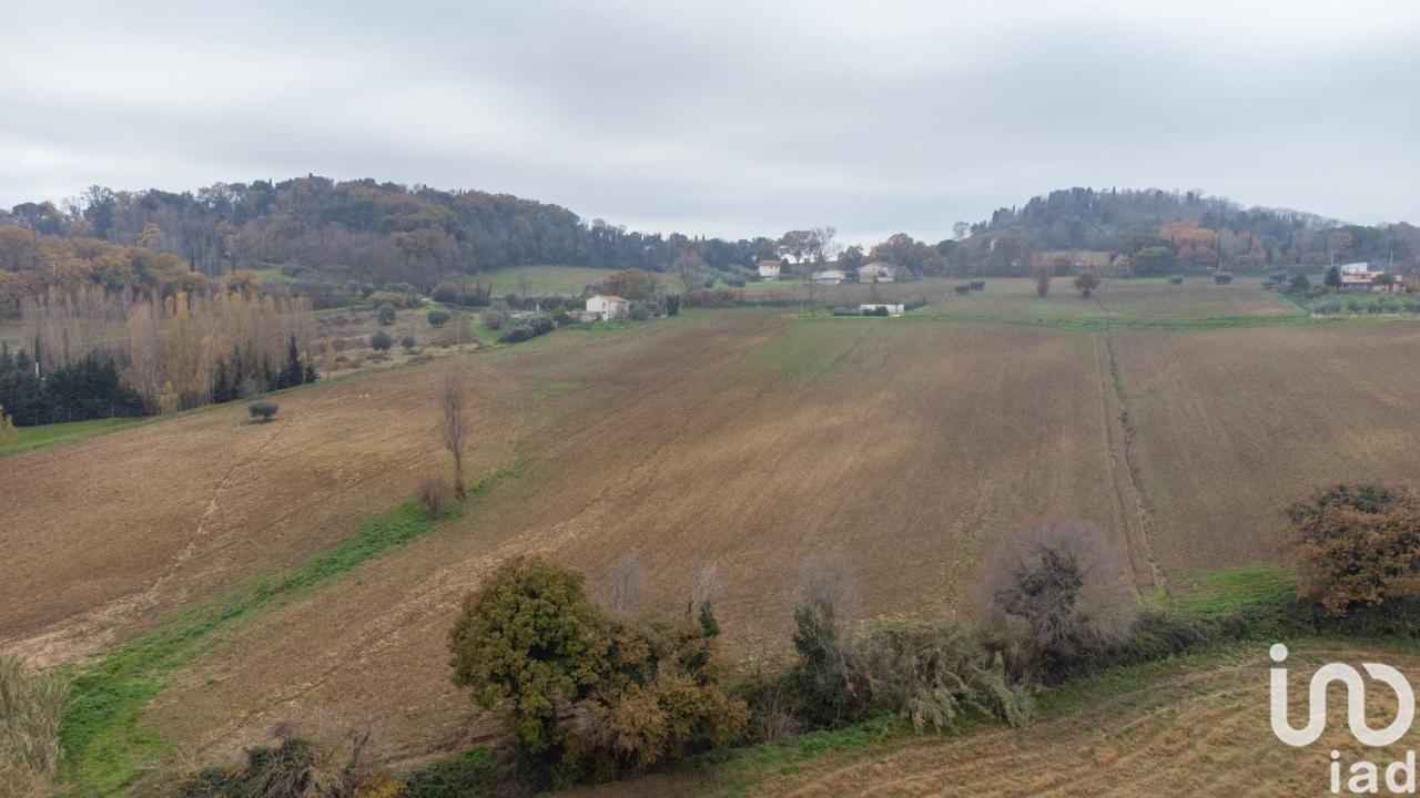 immagine annuncio 11 di 14