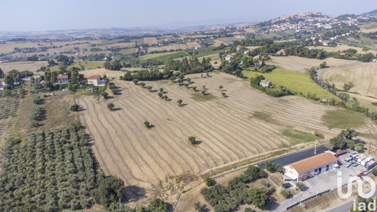 immagine annuncio 9 di 11