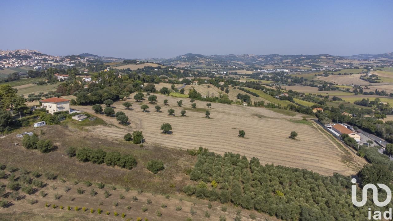 immagine annuncio 5 di 11
