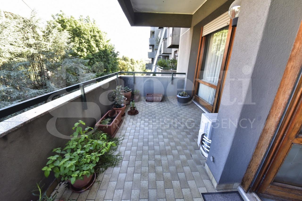 immagine annuncio 7 di 15