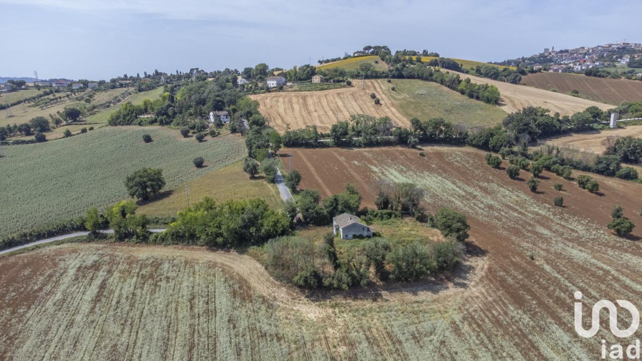 immagine annuncio 12 di 14
