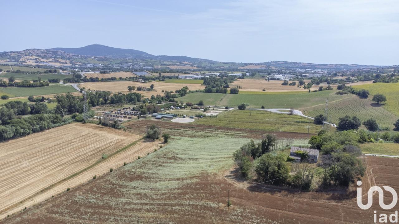 immagine annuncio 5 di 14
