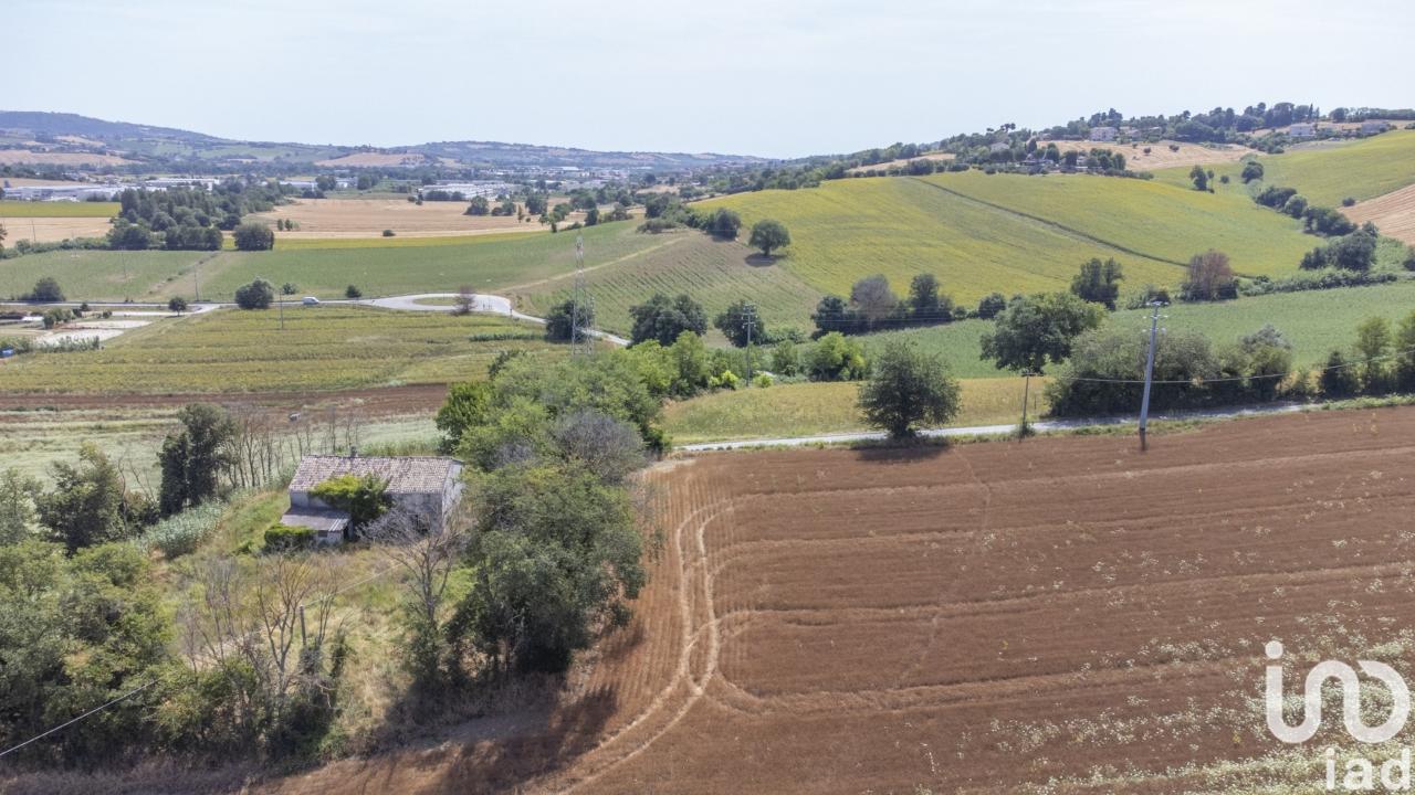 immagine annuncio 7 di 14