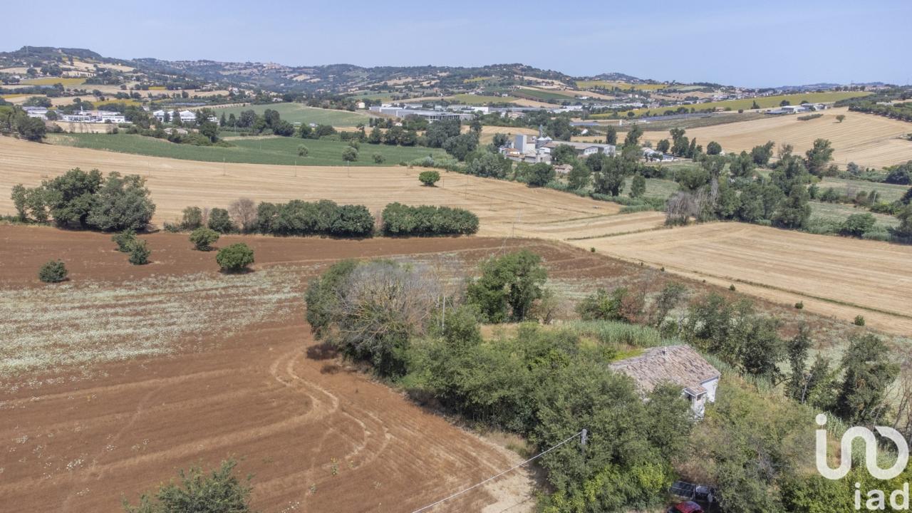 immagine annuncio 9 di 14