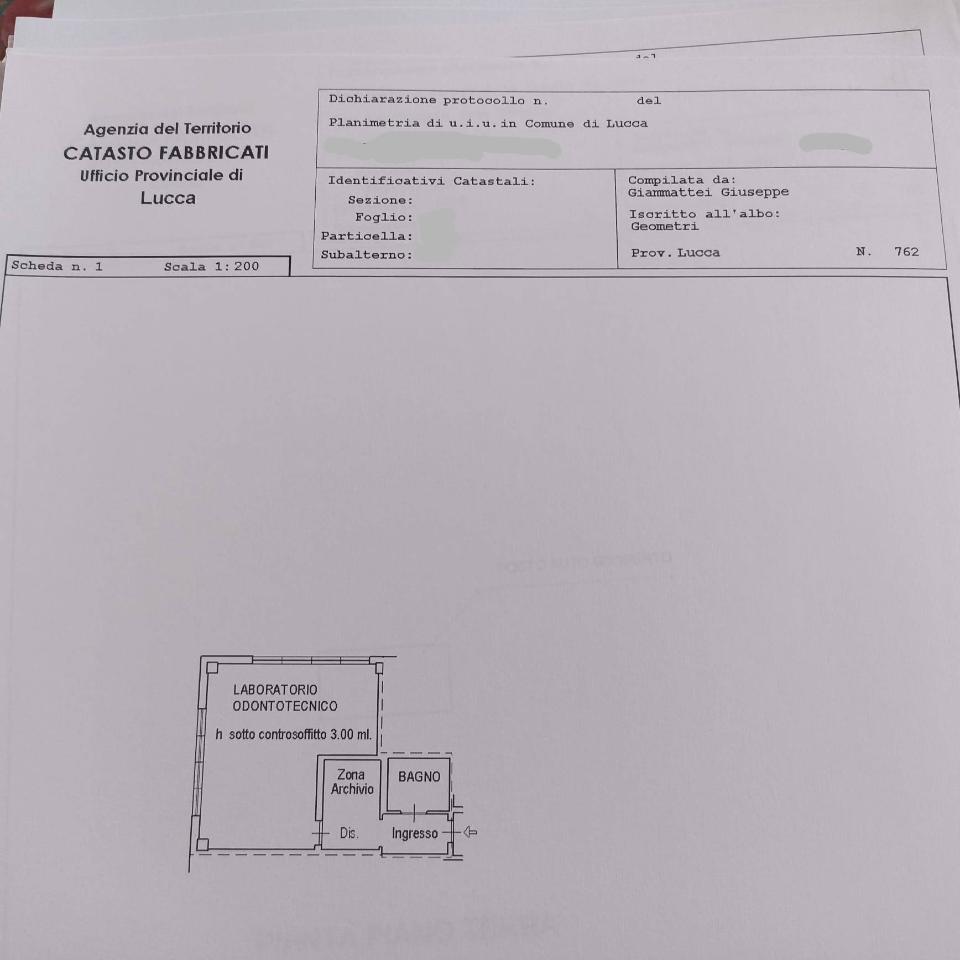 Negozio in Via Vecchi Pardini, Lucca, {3} - Planimetria 1