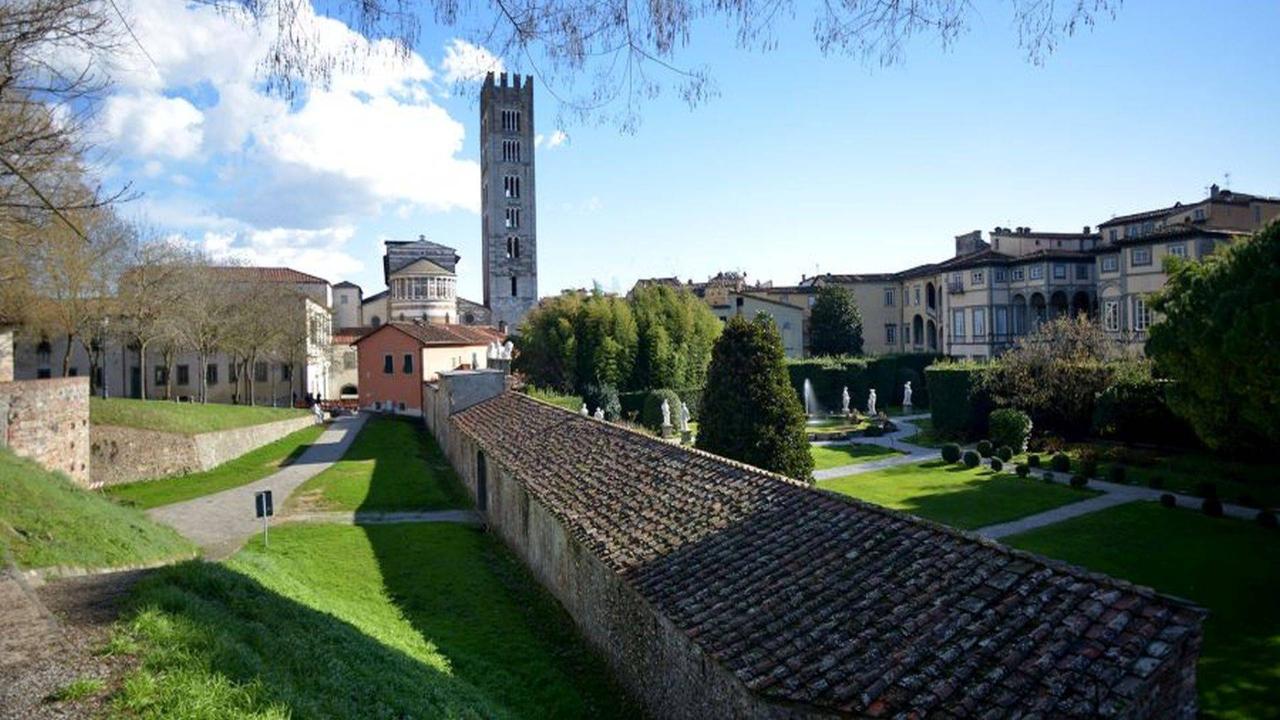 Negozio in vendita a Lucca