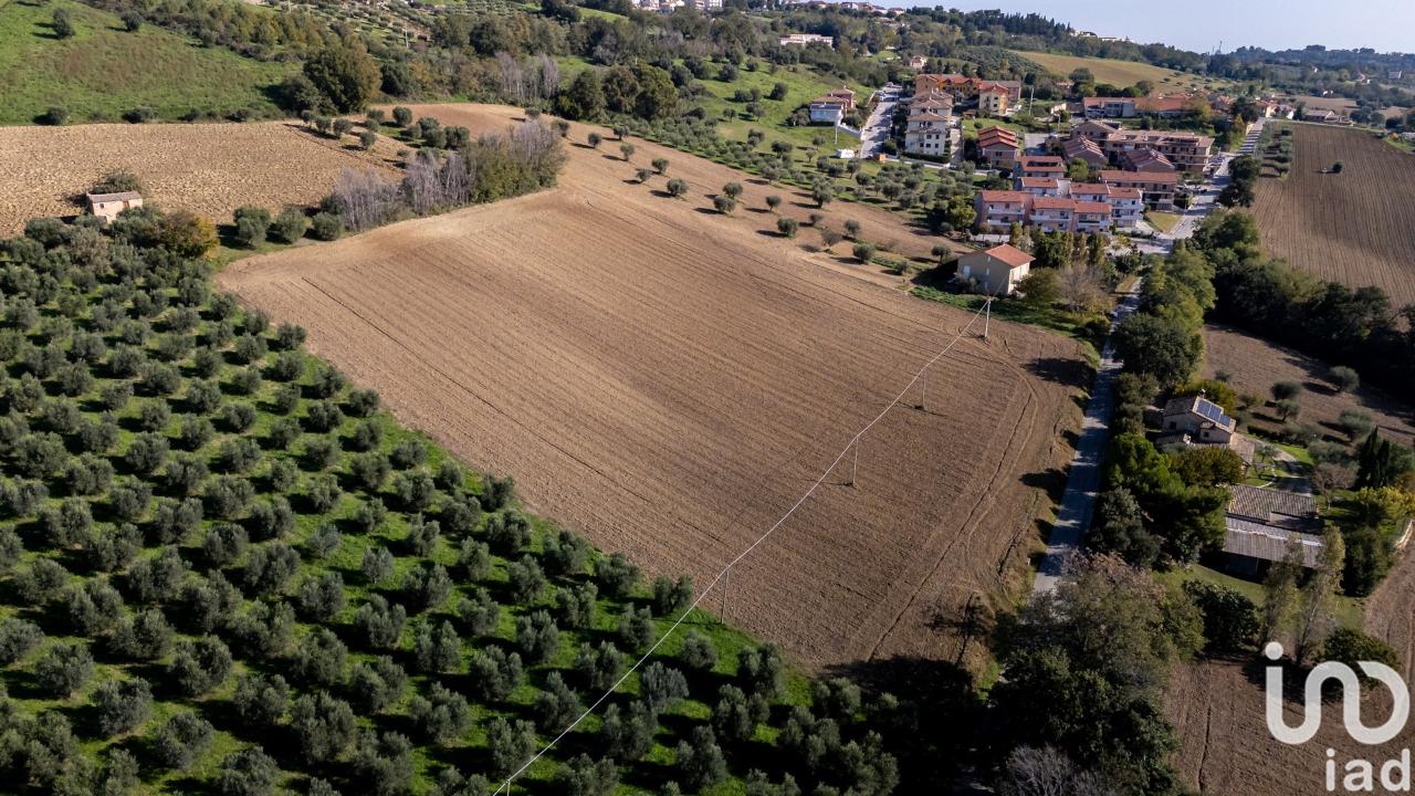 immagine annuncio 1 di 3