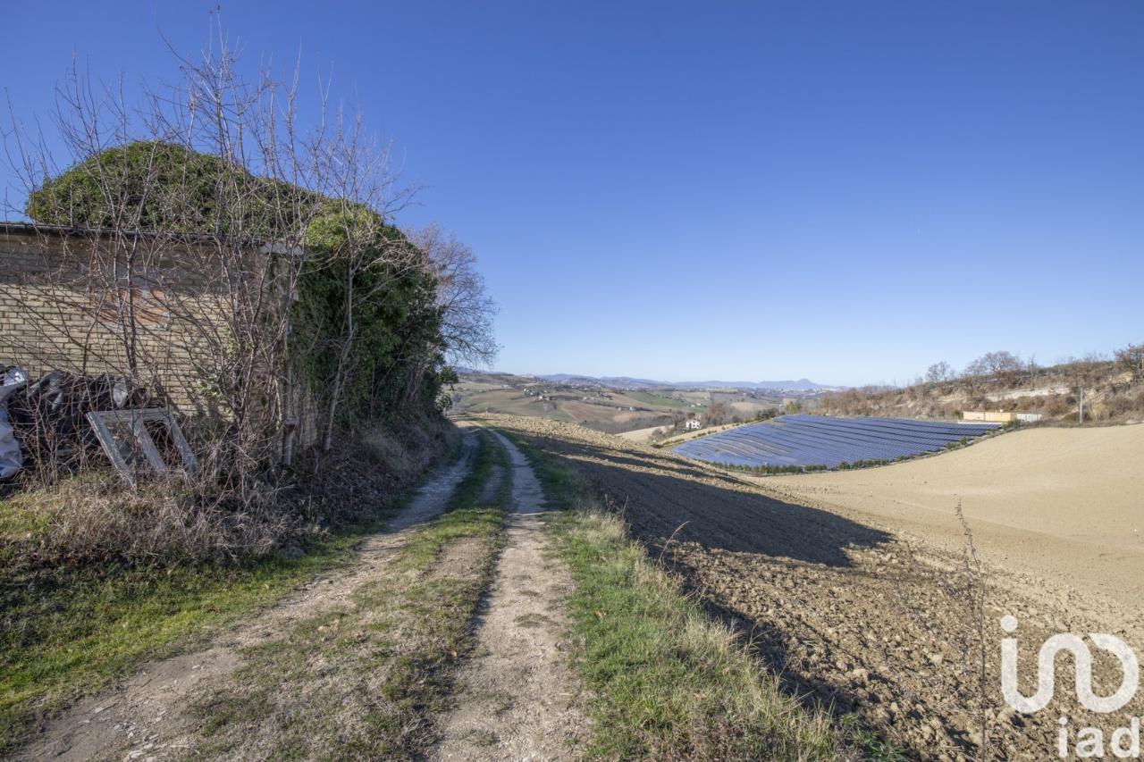 immagine annuncio 6 di 11