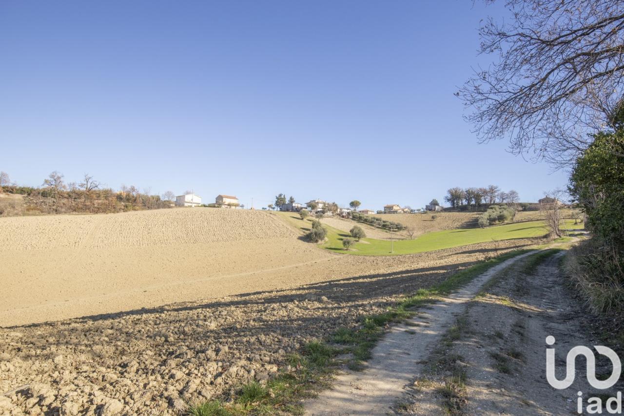 immagine annuncio 9 di 11