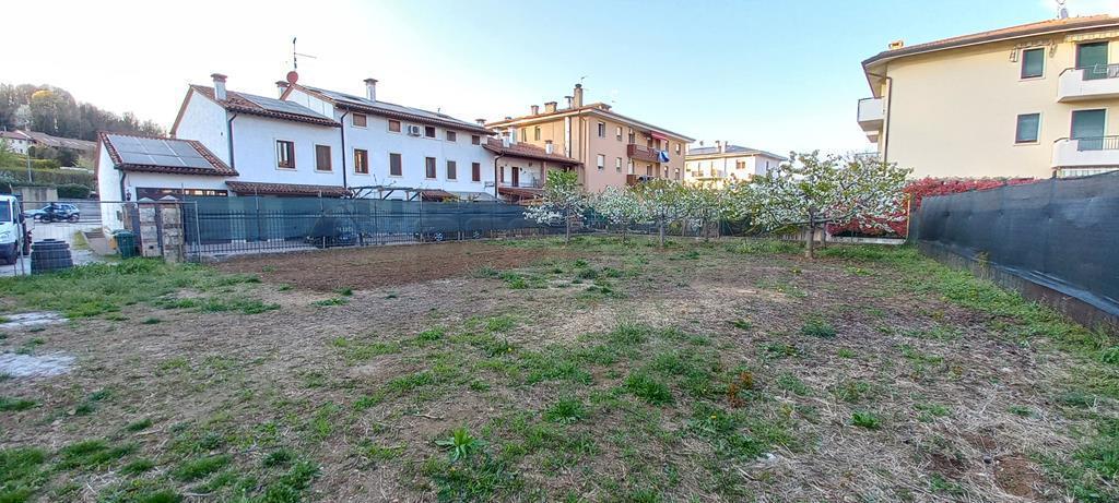 immagine annuncio 3 di 7