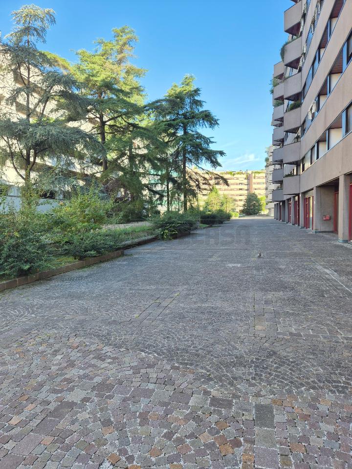 immagine annuncio 4 di 14