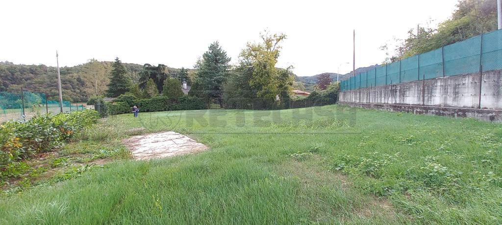 immagine annuncio 4 di 6