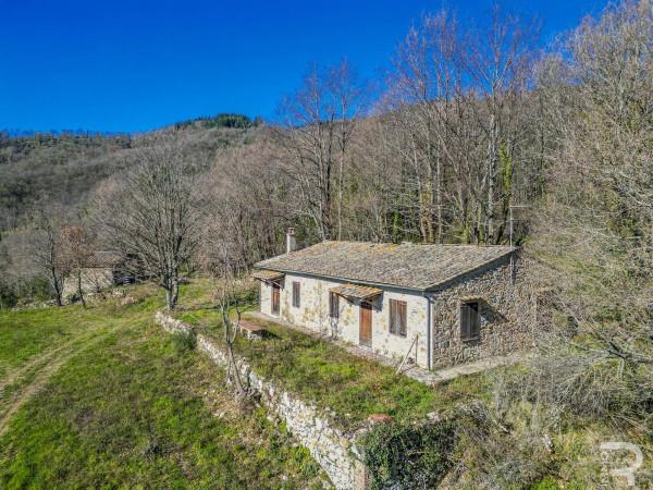 Country house or cottage in {3}, Strada Provinciale Galleraie - Photo 1