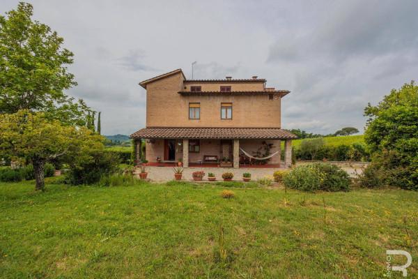 Country house or cottage in Via della Scheggiolla, Castelnuovo Berardenga - Photo 1